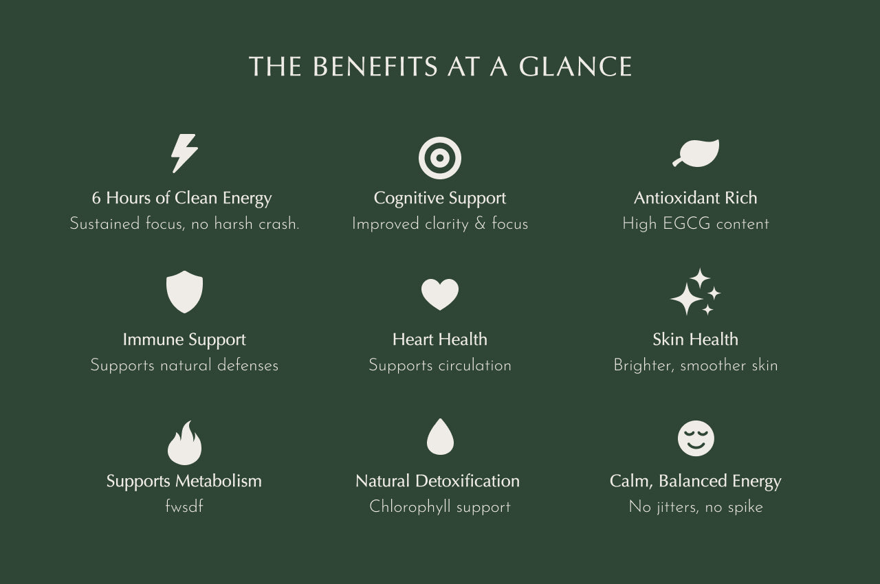 The Matcha Wellness Trend