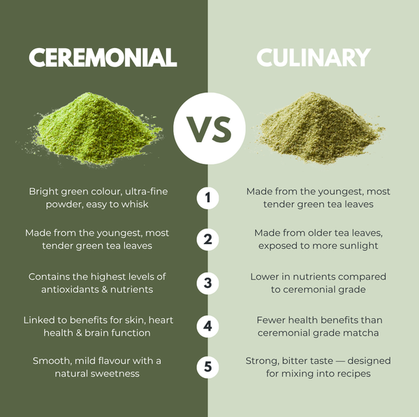 The Matcha Wellness Trend