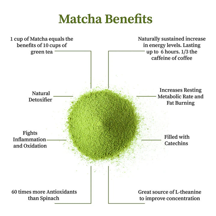 Health Benefits of Matcha in 2026: New Research on Brain Health and Longevity