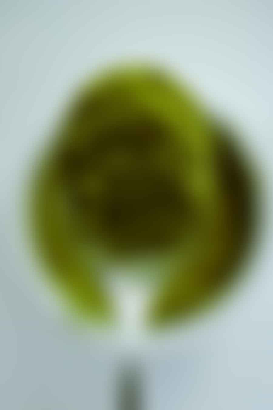 Close-up view of vibrant green matcha tea powder