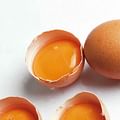egg yolks