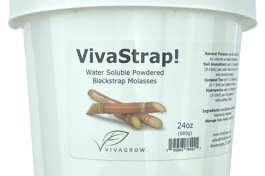 blackstrap molasses