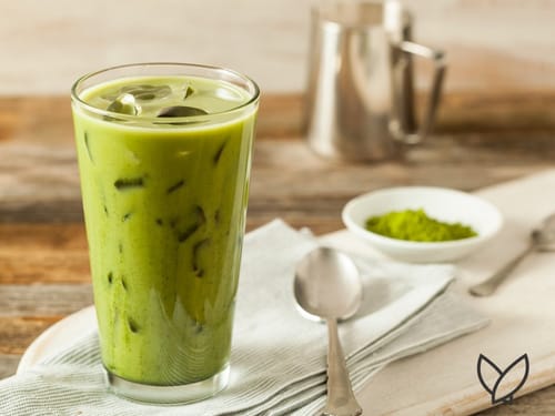 Is Matcha Good for Your Gut?: The Surprising Truth About Matcha and Digestion