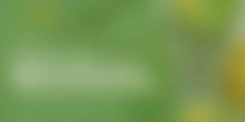 Master the Art of Matcha Smoothies - Blend & Savor 💡