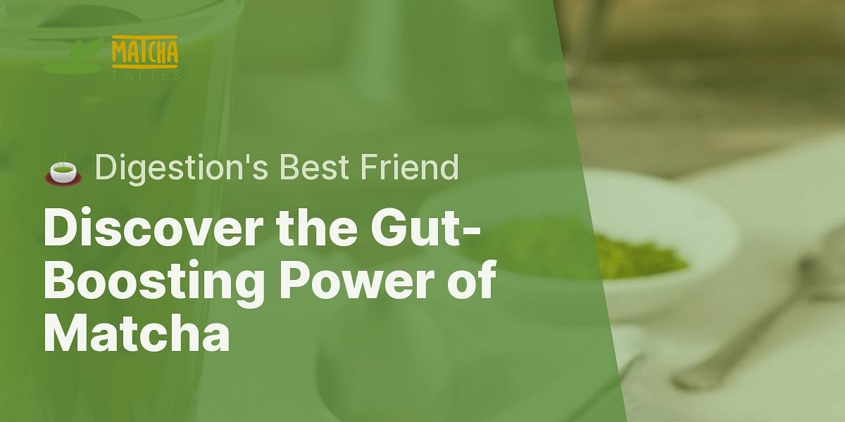 Is Matcha Good for Your Gut? The Surprising Truth About Matcha and