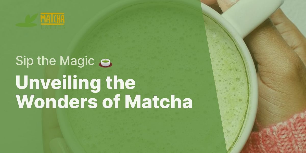 What is matcha powder and how do you use it?
