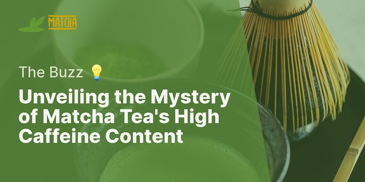 Why does matcha tea have a high caffeine content?